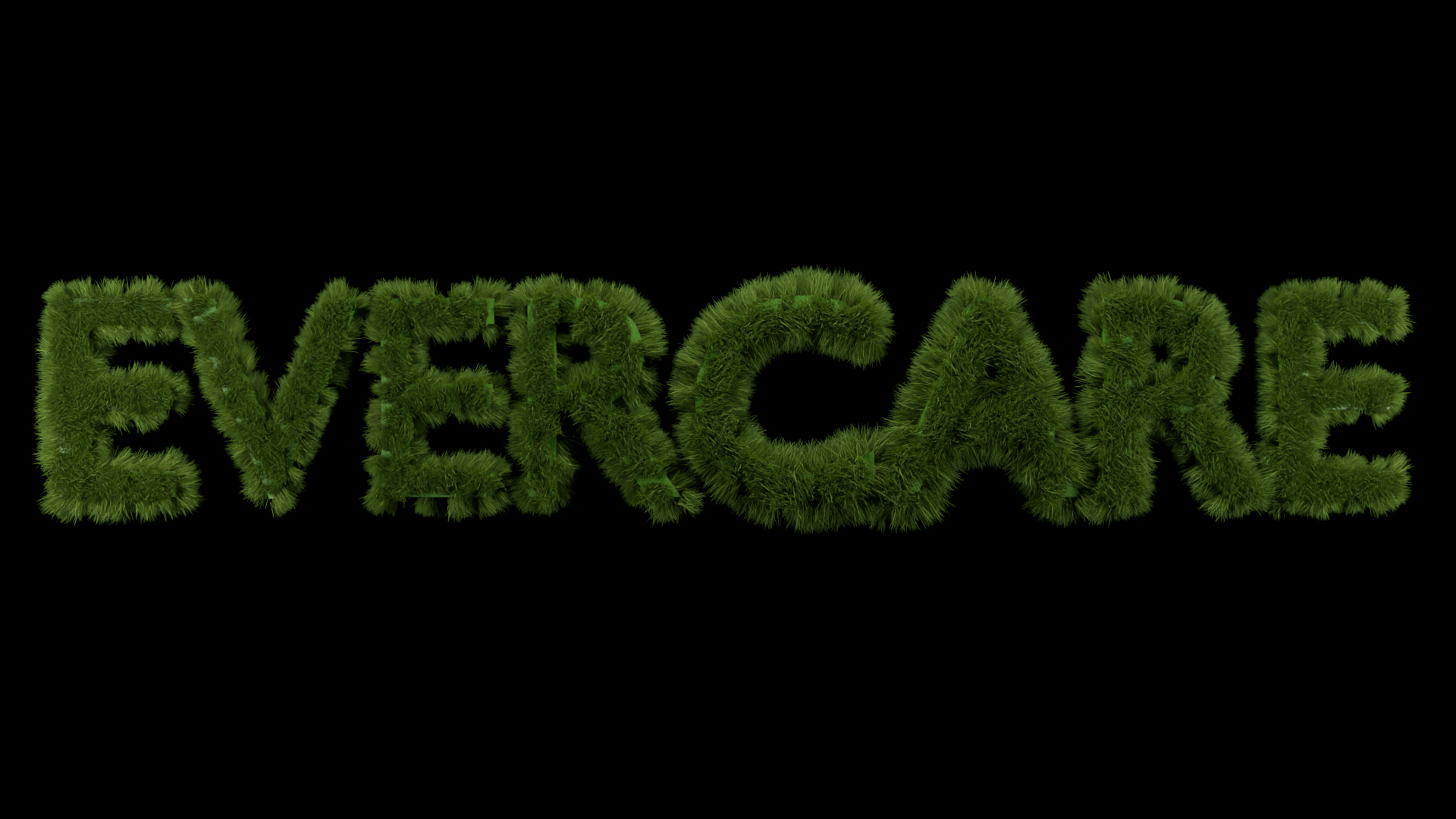 EverCare home logo